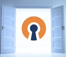 OpenVPN для Windows 8.1